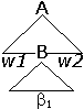 Teilbaum zur Ableitung A => w1 B w2 => w1 beta1 w2